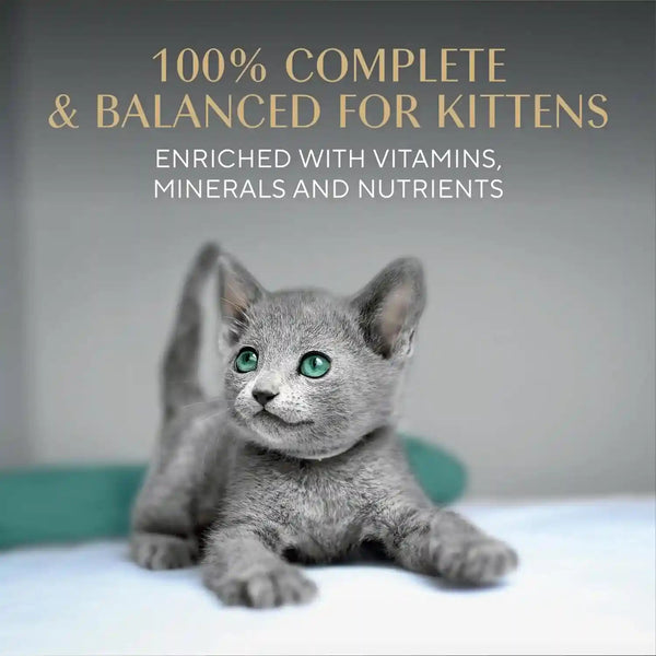 Sheba Perfect Portions Kitten Pate Wet Cat Food, Multipack, 2.6 Oz, 24 Ct | DHA for Brain Development, Vitamin E for Immunity, Real Meat, All Essential Amino Acids, Complete & Balanced, 48 Servings4