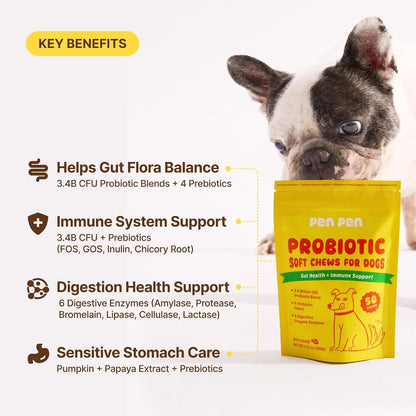 PENPEN Probiotics for Dogs, Dogs Probiotics for Digestive Health, Multi-Probiotic and Enzyme Blend Promote Gut Health & Immune Support, Eases Sensitive Stomachs (Beef Chews, 50Ct)4