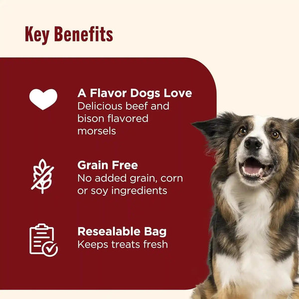 Nutrish Burger Bites Dog Treats, Beef Recipe, 12 Oz. Pouch (Rachael Ray)5