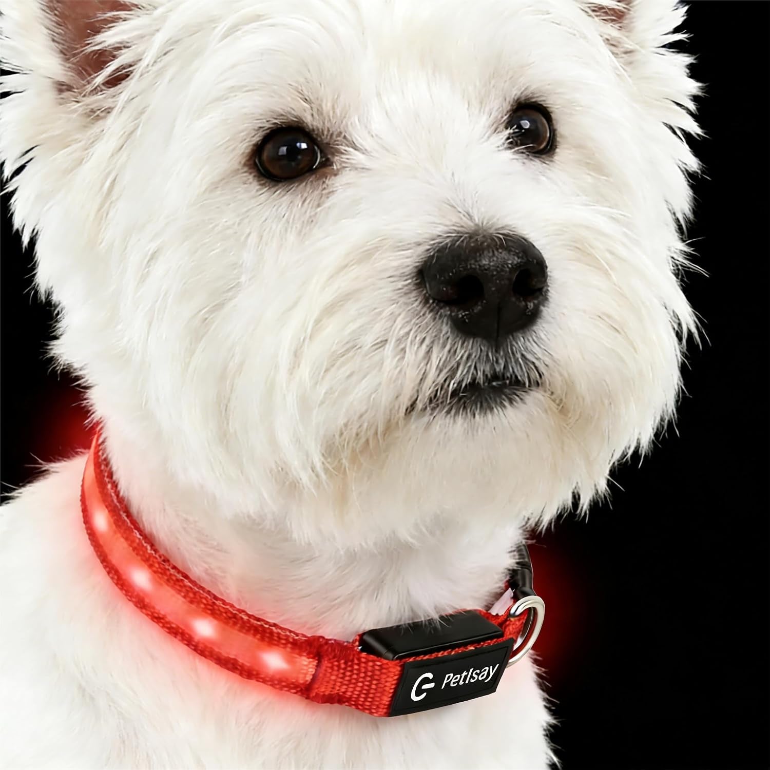 super-bright-led-dog-collar-waterproof-light-up-collarsgreen-medium-lighted-dog-collar-with-adjustable-fit-soft-nylon-comfort-usb-c-rechargeable-glow-in-the-dark-visibility-for-night-walks