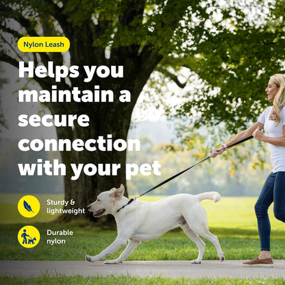 Petsafe Nylon Dog Leash - Strong, Durable, Traditional Style Leash with Easy to Use Bolt Snap - 3/8 In. X 6 Ft., Black | Durable Nylon Leash with Easy On/Off Bolt Snap Hook, Pairs Perfectly with Easy Walk Harness and Gentle Leader Headcollar2