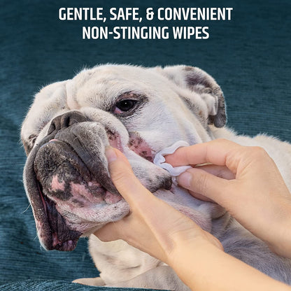 Pet MD Topical Wipes for Cleansing - with Aloe for Cats and Dogs - 50 Count2