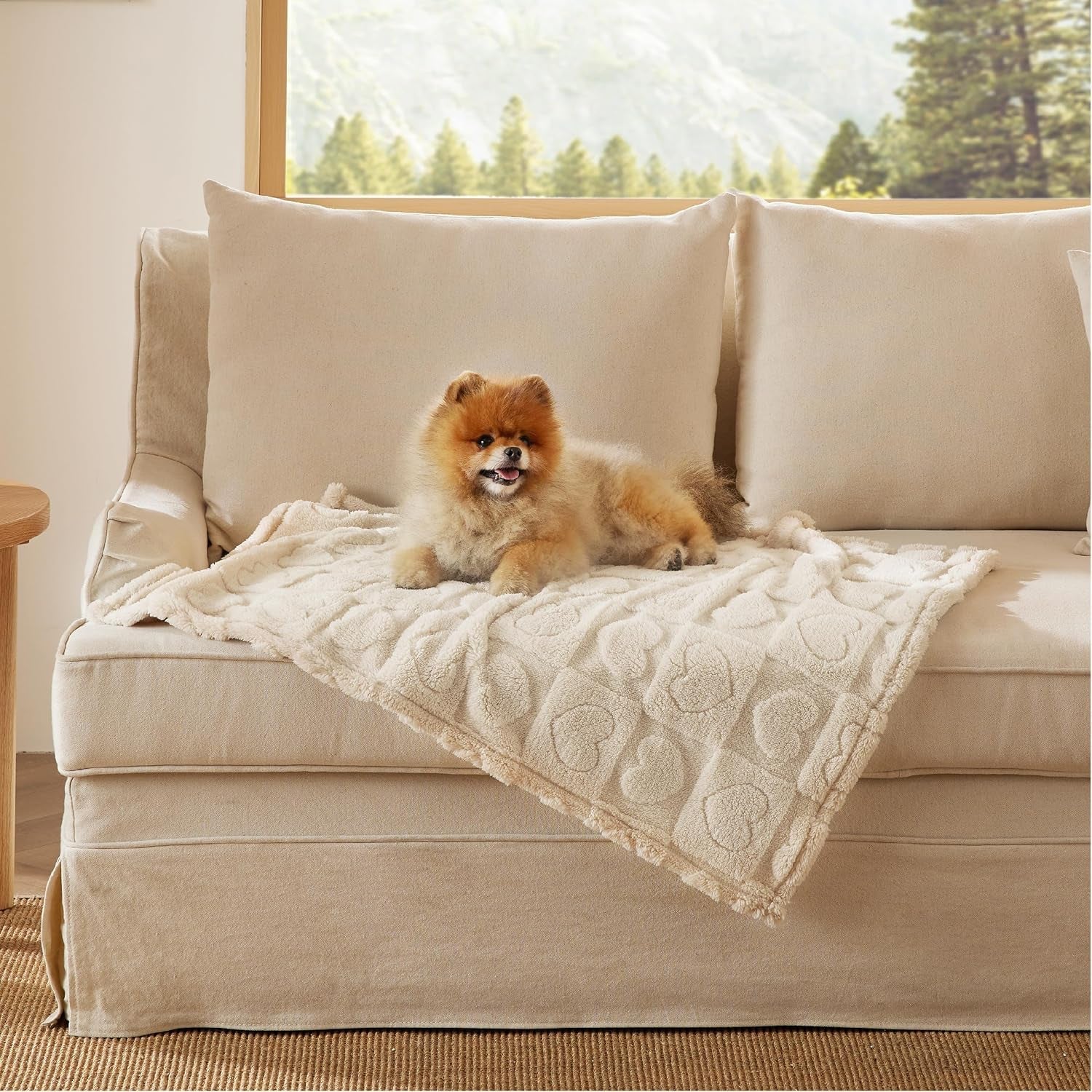 bedsure-dog-blanket-for-small-dogs-puppy-cats-with-soft-fleece-25x35-white-300gsm-fuzzy-jacquard-doggy-kitten-blanket-washable-for-crate-cage-pet-bed-indoor-cats-puppy-essentials-cute-dog-gift