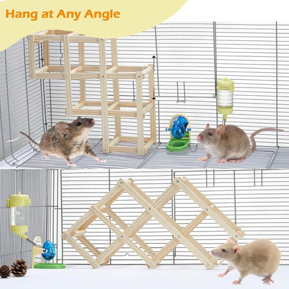 Kiln-Dried Wood Rat Climb Toy, Hanging Cage Ladder Activity (M, 1Pc) | Natural Rat Cage Bridge, Multiple Openings & Directional Ramps Offer Challenges to Satisfy Rats' Instincts for Explore & Play5