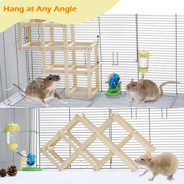 Kiln-Dried Wood Rat Climb Toy, Hanging Cage Ladder Activity (M, 1Pc) | Natural Rat Cage Bridge, Multiple Openings & Directional Ramps Offer Challenges to Satisfy Rats' Instincts for Explore & Play5