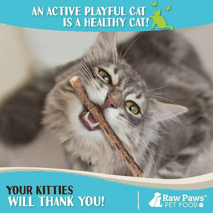 Raw Paws Silvervine Sticks for Cats (30-Count) - Dental Cat Chew Stick | Catnip Alternative - Matatabi Cat Toy - Silver Vine Sticks - Indoor Cat Enrichment & Chewing5