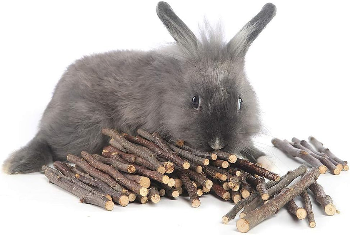 william-craft-apple-sticks-pet-chew-toy-treats-for-chinchilla-guinea-pigs-rabbits-squirrel-hamster-bunny