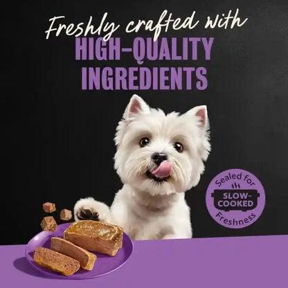 Cesar Wet Dog Food Classic Loaf in Sauce Grilled Chicken, Filet Mignon, Porterhouse Steak, Beef, Chicken & Liver and Turkey Variety Pack 3.5 Oz. Easy Peel Trays (36 Count, Pack of 1) | Made in USA, Real Meat #1 Ingredient, No Fillers or Artificial Flavors, Formulated without Grains, Easy Peel Trays13
