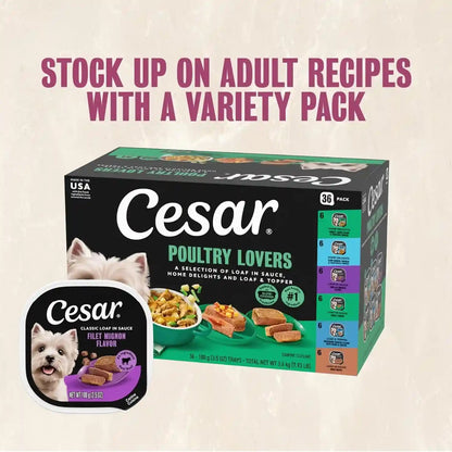 Cesar Wet Dog Food, Steak Lovers Variety Pack, 3.5 Oz, 36 Count | Real Meat #1 Ingredient, Easy Peel Trays, 100% Complete & Balanced, No Fillers, No Added Sugar, No Artificial Flavors14