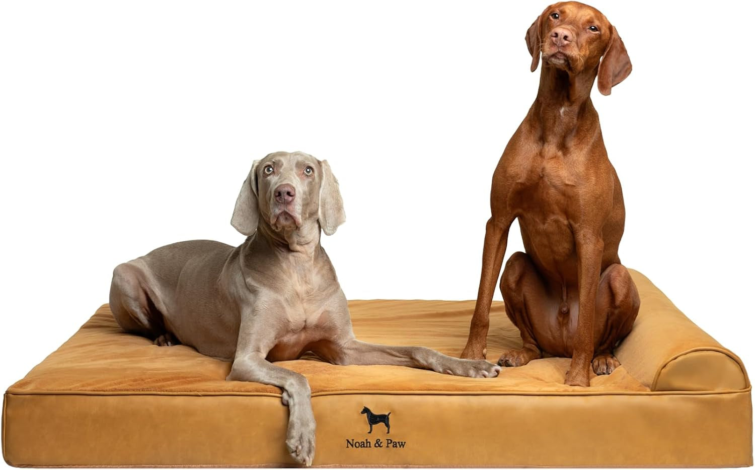 noah-paw-large-dog-bed-35x25x8-7-inch-orthopedic-dog-beds-eggshell-memory-foam-infused-with-cooling-gel-water-resistant-machine-washable-includes-inner-cover-velvet-collection