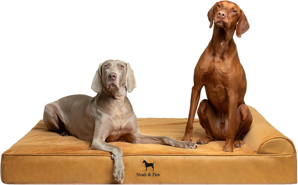 NOAH & PAW Large Dog Bed, 35X25X8.7 Inch, Orthopedic Dog Beds, Eggshell Memory Foam Infused with Cooling Gel, Water Resistant, Machine Washable, Includes Inner Cover (Velvet Collection)13