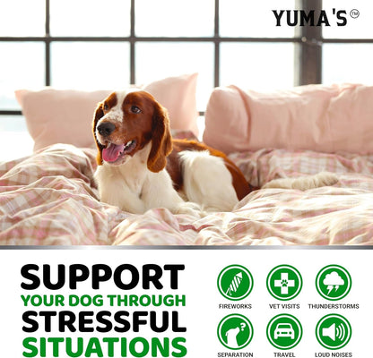 Hemp Calming Chews for Dogs - Advanced Dog Calming Chews - 170 Chews - Anxiety Relief Treats - Separation Aid, Barking, Stress Relief, Thunderstorms - Melatonin - Hemp Oil - Made in USA4