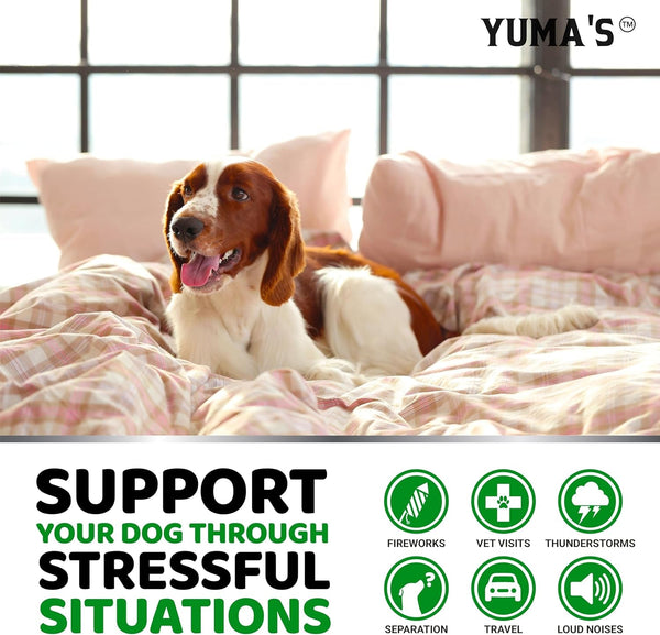 Hemp Calming Chews for Dogs - Advanced Dog Calming Chews - 170 Chews - Anxiety Relief Treats - Separation Aid, Barking, Stress Relief, Thunderstorms - Melatonin - Hemp Oil - Made in USA4
