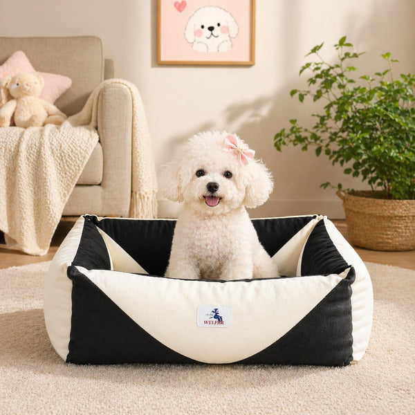 Cotton Canvas Dog Bed (290Gsm Thick), 24"X20"X8" Durable Waterproof | Cute Dog Beds for Small Dogs, Orthopedic Bed with Washable Removable Cover, Anti-Chewing Pet Bed Anti-Slip Black&White1