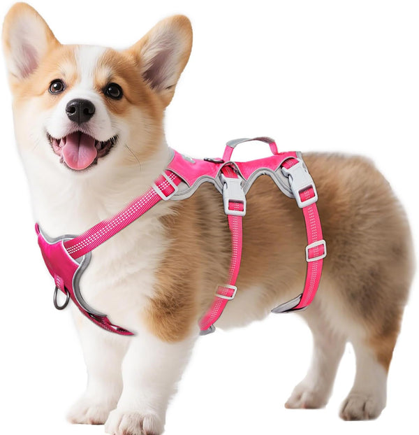 Huntboo Escape Proof Dog Harness, Escape Artist Harness, Reflective Harness with Padded Handle, Breathable, Durable, Adjustable Vest for Medium Dogs Walking, Training, and Running Gear (Blue, M)24