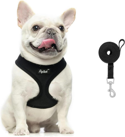 PUPTECK Soft Mesh Dog Harness Small Sized and Leash Set Pet Puppy Cat Comfort Padded Vest No Pull Harnesses, Beige, S67