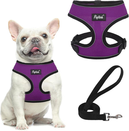 PUPTECK Soft Mesh Dog Harness Small Sized and Leash Set Pet Puppy Cat Comfort Padded Vest No Pull Harnesses, Beige, S89
