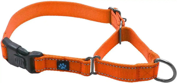 Max and Neo Nylon Martingale Collar - We Donate to a Dog Rescue for Every Collar Sold (Medium, Orange)1