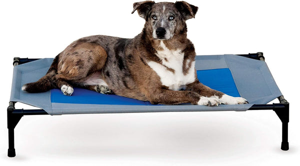 K&H Pet Products Coolin' Pet Cot, Outdoor Cooling Elevated Dog Cot for Large Dogs, Raised Bed with Cool-Core Center, Portable Pet Platform with Heavy-Duty Metal Frame - Large Gray/Blue1