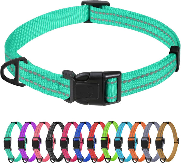 Tagme Small Dog Collar, Reflective Puppy Collar, Sky Blue, 3/8" Width | Lightweight, Nylon Collar for Puppies, Chihuahua, Yorkie & Teacup Dogs 5-15 Lbs, Reflective for Evening Walks, 12 Colors21