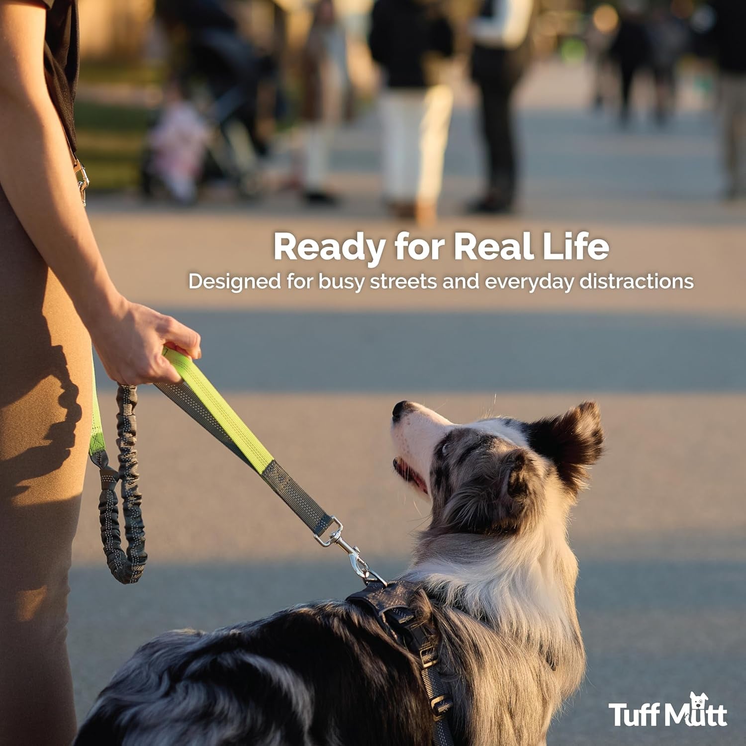 tuff-mutt-hands-free-dog-leash-for-walking-running-hiking-waist-leash-with-bungee-adjustable-belt-reflective-double-handle-design-for-large-medium-dogs