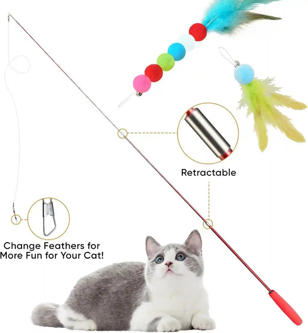Cat Toys for Indoor Cats, 13 Packs Interactive Cat Wand Toy Set | Kitten Toys Feather Toys & Teasers, Fun Cat Toys for Exercise, Playtime and Boredom Relief2