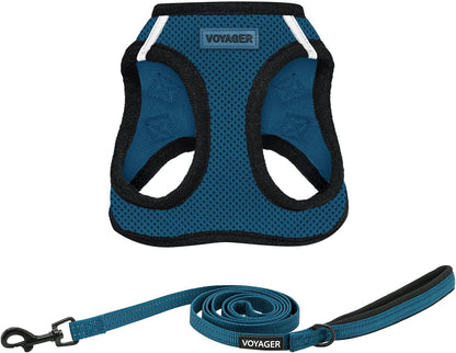 Best Pet Supplies Voyager Step-In Air All Weather Mesh Harness and Reflective Dog 5Ft Leash Combo with Neoprene Handle, for Small, Medium and Large Breed Puppies - Baby Blue, Small21