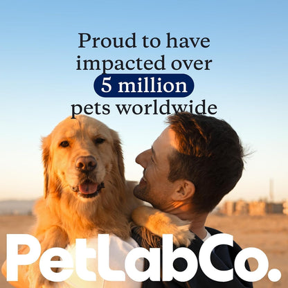 Petlab Co. Dental Sticks – Dog Dental Chews -Target Plaque & Tartar Build-Up at the Source - Designed to Maintain Your Dog’S Oral Health, Keep Breath Fresh and Provide Digestive Help (24 Sticks) | Ridged Texture with Chicory Root Prebiotic and Peppermint to Support Tartar Removal, Digestion and Fresh Breath8