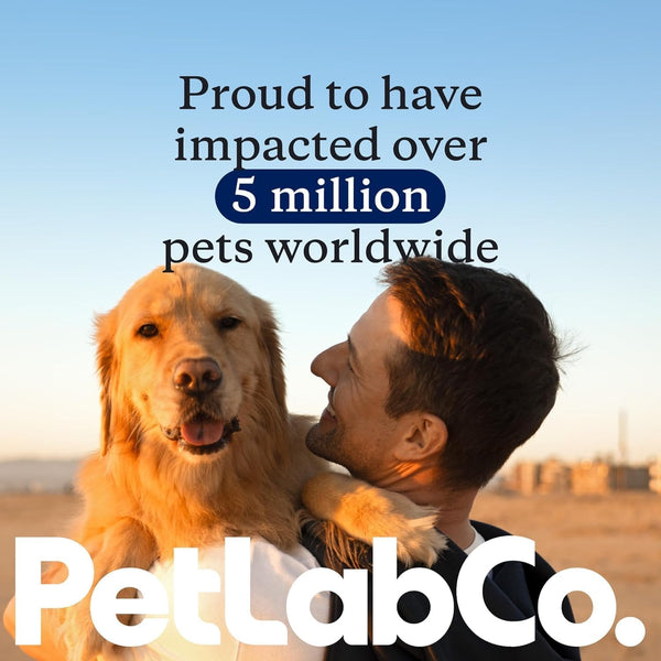 Petlab Co. Dental Sticks – Dog Dental Chews -Target Plaque & Tartar Build-Up at the Source - Designed to Maintain Your Dog’S Oral Health, Keep Breath Fresh and Provide Digestive Help (24 Sticks) | Ridged Texture with Chicory Root Prebiotic and Peppermint to Support Tartar Removal, Digestion and Fresh Breath8