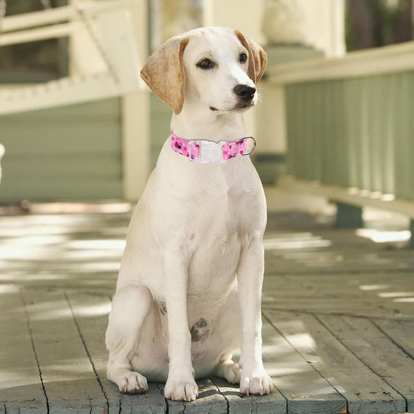 Serijoars Floral Print Puppy Dog Collar for Small Medium Large Dogs Collars with Quick Release Buckle for Girls Female Dog (NO10, S)2