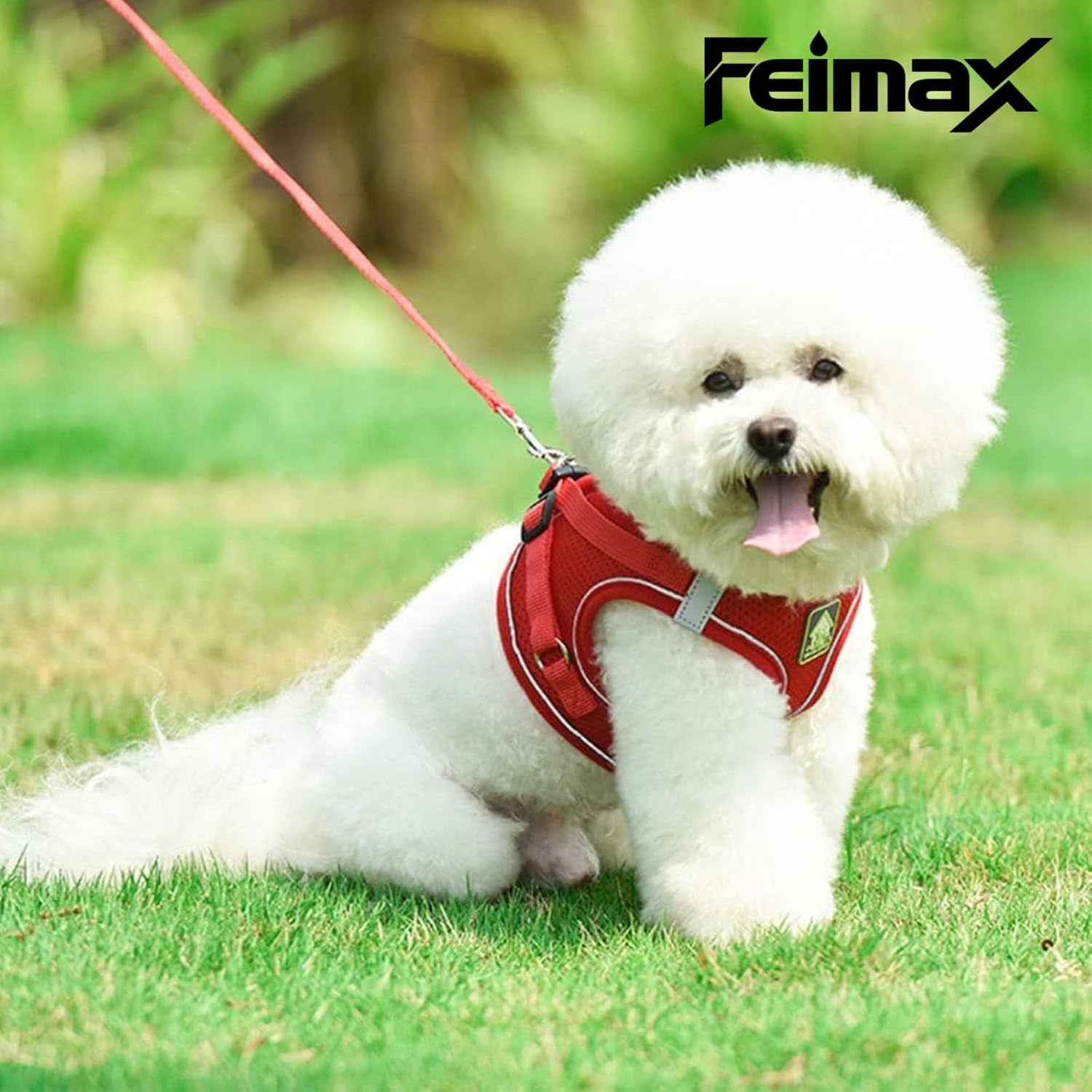 feimax-dog-harness-and-leash-set-no-pull-breathable-soft-mesh-puppy-vest-harness-reflective-adjustable-pet-harnesses-for-small-medium-dogs-and-cats-outdoor-easy-control-for-walking