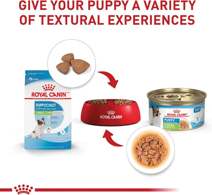 ROYAL CANIN Size Health Nutrition X-Small Puppy Thin Slices in Gravy Dog Food, 3 Oz (Pack of 12)6