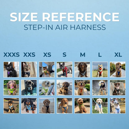 Best Pet Supplies Voyager Step-In Air All Weather Mesh Harness and Reflective Dog 5Ft Leash Combo with Neoprene Handle, for Small, Medium and Large Breed Puppies - Baby Blue, Small6