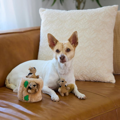 Outward Hound Squeakin’ Squirrels – 3‑Pack Plush Squeaky Dog Toys for Puppies, Small Dogs & Hide-A-Squirrel Replacements5