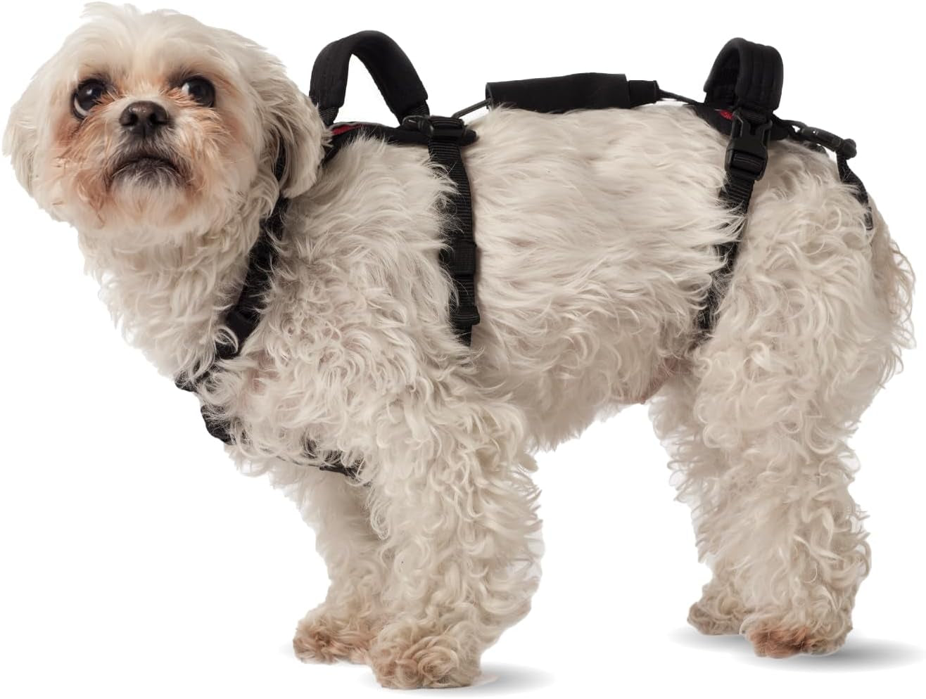 help-em-up®-dog-lift-harness-adjustable-lifting-harness-for-dogs-full-body-support-rear-leg-support-conventional-medium-45-80-lbs