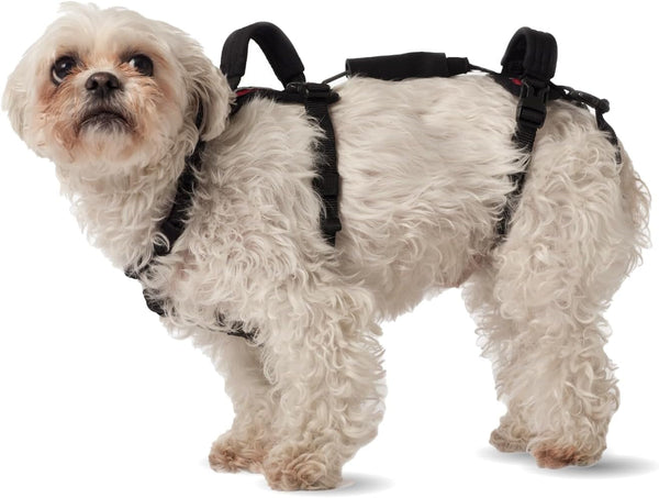Help 'Em Up® - Dog Lift Harness│ Adjustable Lifting Harness for Dogs │ Full Body Support, Rear Leg Support (Conventional, Medium, 45-80 Lbs)10