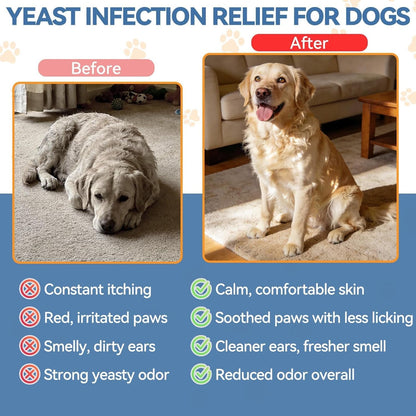 Carmelie Natural Yeast Relief for Dogs, Support Healthy Itch Relief, Ear Paw Discomfort Care, Itch Relief for Dog, Allergy Supports, Inflammation Relief for Dogs, 60Ml Bacon Flavor7