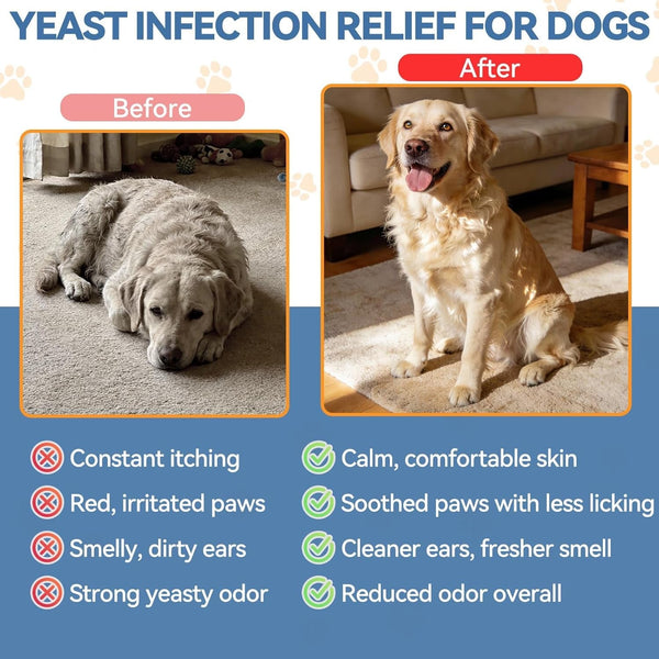 Carmelie Natural Yeast Relief for Dogs, Support Healthy Itch Relief, Ear Paw Discomfort Care, Itch Relief for Dog, Allergy Supports, Inflammation Relief for Dogs, 60Ml Bacon Flavor7