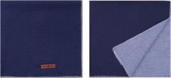 Lionet Paws Dog Bandana for Small Medium Large Dogs, Cat Kerchief Blue DOIT, Triangle Bibs Scarf for Girl or Boy5