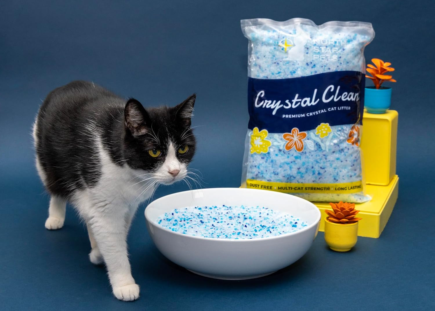 crystal-clean-premium-fresh-scent-crystal-cat-litter-with-odor-control-5x-faster-best-lightweight-non-clumping-kitty-litter-to-absorb-urine-dries-solid-waste-2x4-3-lb-bags