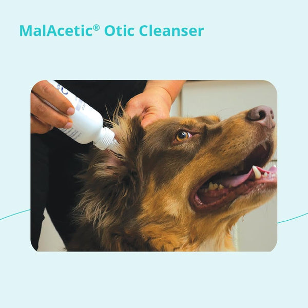 Malacetic Otic Cleanser for Dogs and Cats, 8 Fl Oz | Cleansing, Drying; 2% Boric Acid; 2% Acetic Acid; Packaging May Vary6