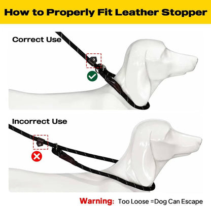 Fida Durable Slip Lead Dog Leash, 6 FT X 1/2" Heavy Duty Dog Loop Leashes, Comfortable Strong Rope Slip Leash for Large Medium Dogs, No Pull Pet Training Lead with Highly Reflective(1/2", Black)8