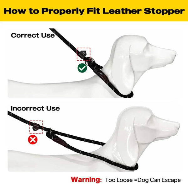 Fida Durable Slip Lead Dog Leash, 6 FT X 1/2" Heavy Duty Dog Loop Leashes, Comfortable Strong Rope Slip Leash for Large Medium Dogs, No Pull Pet Training Lead with Highly Reflective(1/2", Black)8