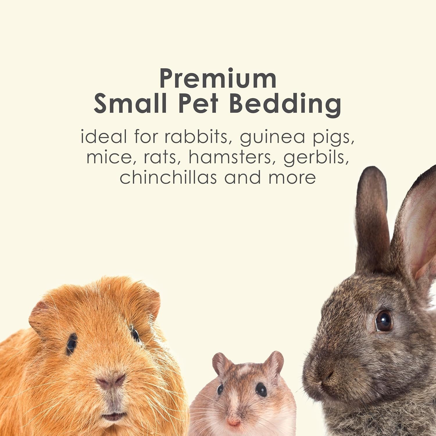 kaytee-clean-cozy-colors-small-animal-bedding-with-extreme-odor-control-kaleidoscope-24-6-liters