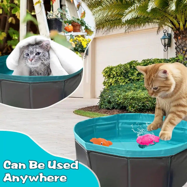 Cat Pool Toy, Water Toys for Cats, Best Cat Toys for Bored Indoor Cats, Hunting Toys for Indoor Catss, Portable Play Mat, Pet Swimming Pool for Self Play Enrichment (1Pcs Pool + 6Pcs Toy)6