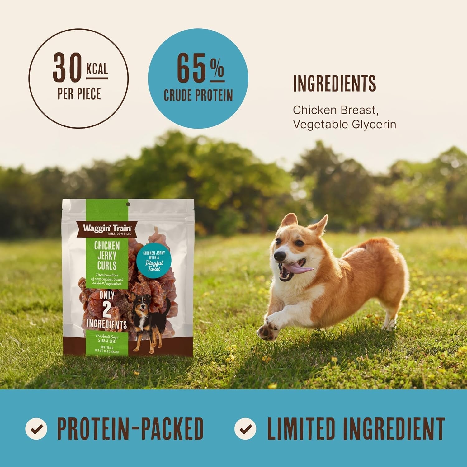 waggin-train-chicken-jerky-curls-dog-treats-made-with-100-real-chicken-breasts-only-two-all-natural-ingredients-great-high-protein-dog-treat-easily-digestible-for-big-or-small-dogs-16-oz-pouch