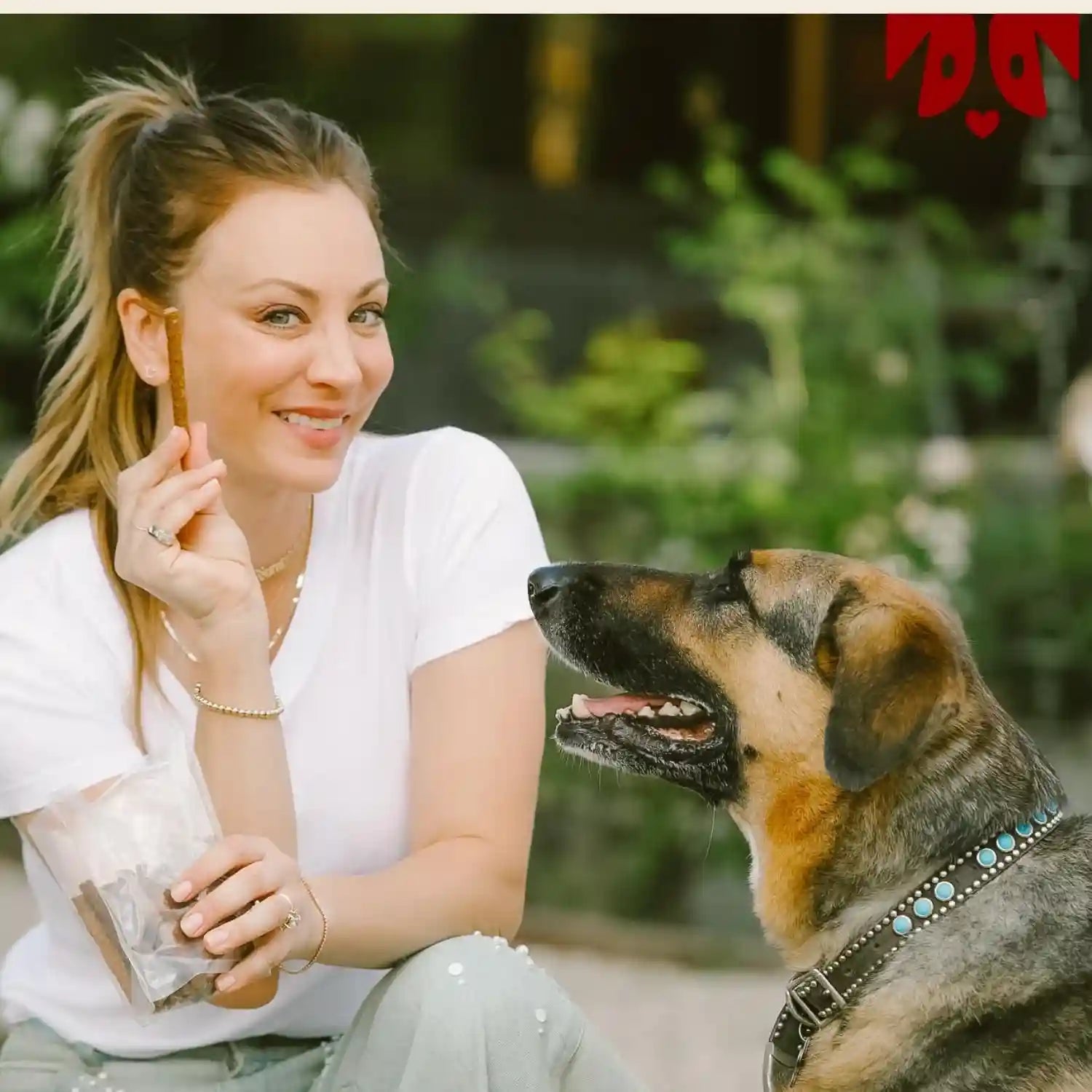 oh-norman-soft-beef-jerky-dog-treats-free-range-beef-6-oz-air-dried-free-range-beef-jerky-with-limited-ingredients-gentle-on-sensitive-stomachs-great-for-training-daily-rewards