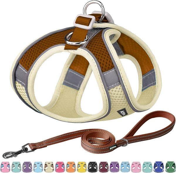 AIITLE No Pull Dog Harness and Leash Set, Step in Adjustable Dog Harness with Padded Vest for All Weather, Dog Leash with Soft Padded Handle, Easy to Put on Small and Medium Dogs Beige S1