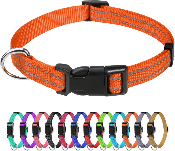 Tagme Small Dog Collar, Reflective Puppy Collar, Sky Blue, 3/8" Width | Lightweight, Nylon Collar for Puppies, Chihuahua, Yorkie & Teacup Dogs 5-15 Lbs, Reflective for Evening Walks, 12 Colors33