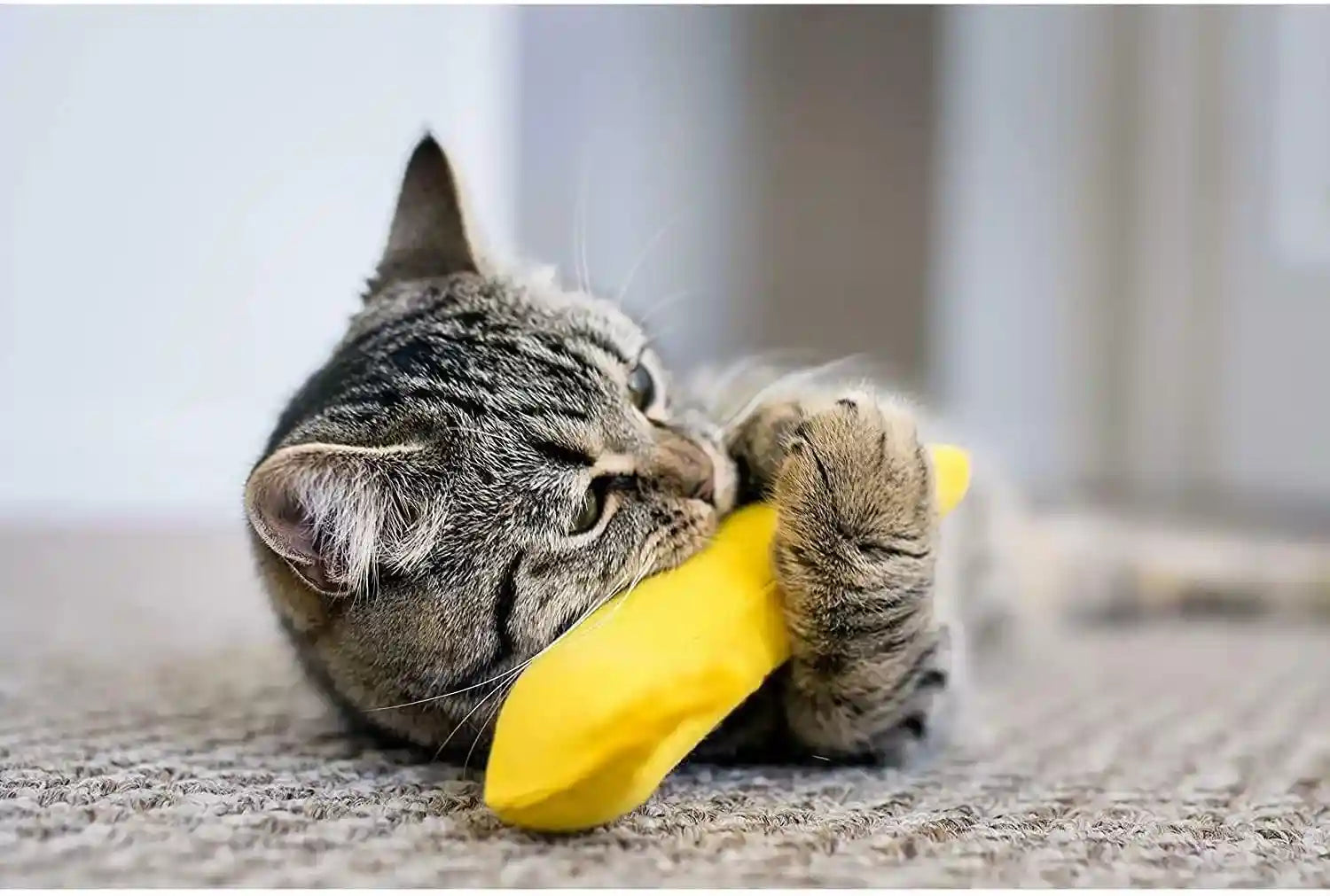 yeowww-duckyworld-100-organic-catnip-leaf-flower-cat-toy-banana-3-pack
